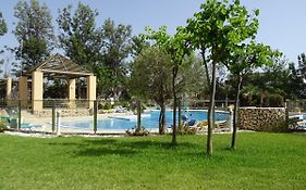 Oasis La Caleta